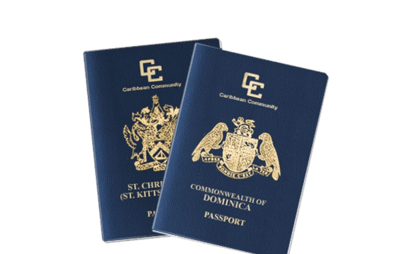 多米尼克护照帮助李先生成功获得海外身份，真正实现了移民不移居